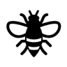  bee icon